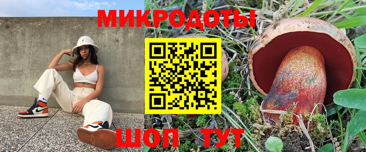 Псилоцибиновые грибы прущие грибы  Вход с VPN  Вязники 
