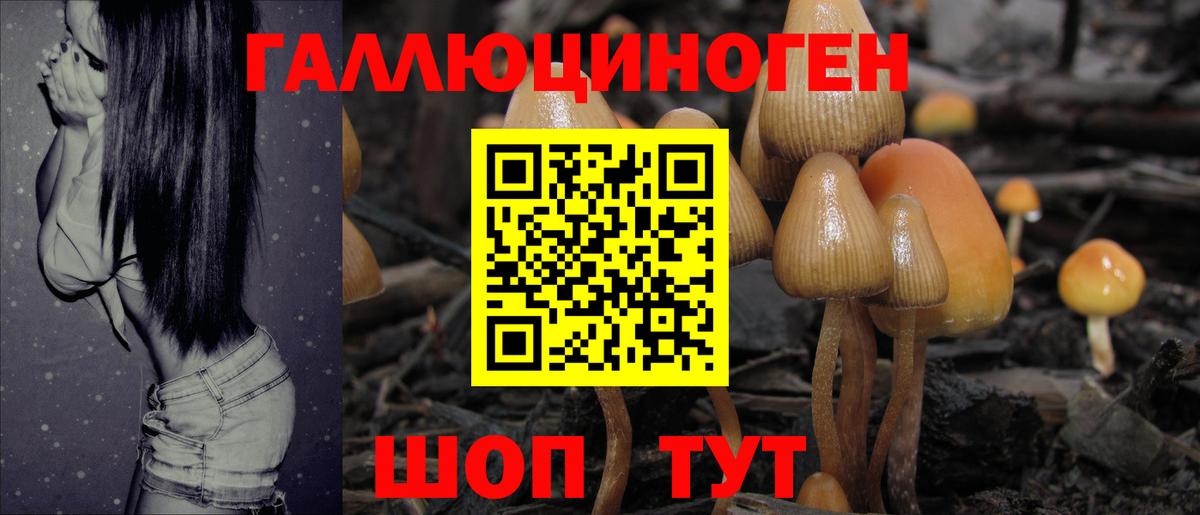 Галлюциногенные грибы Cubensis Вязники
